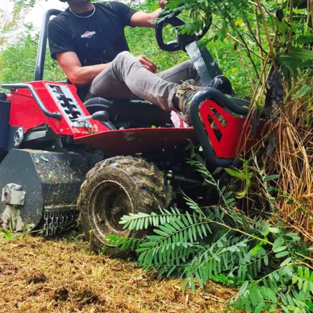 Meccanica Benassi trattorino trinciaerba